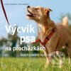 Výcvik psa na procházkach